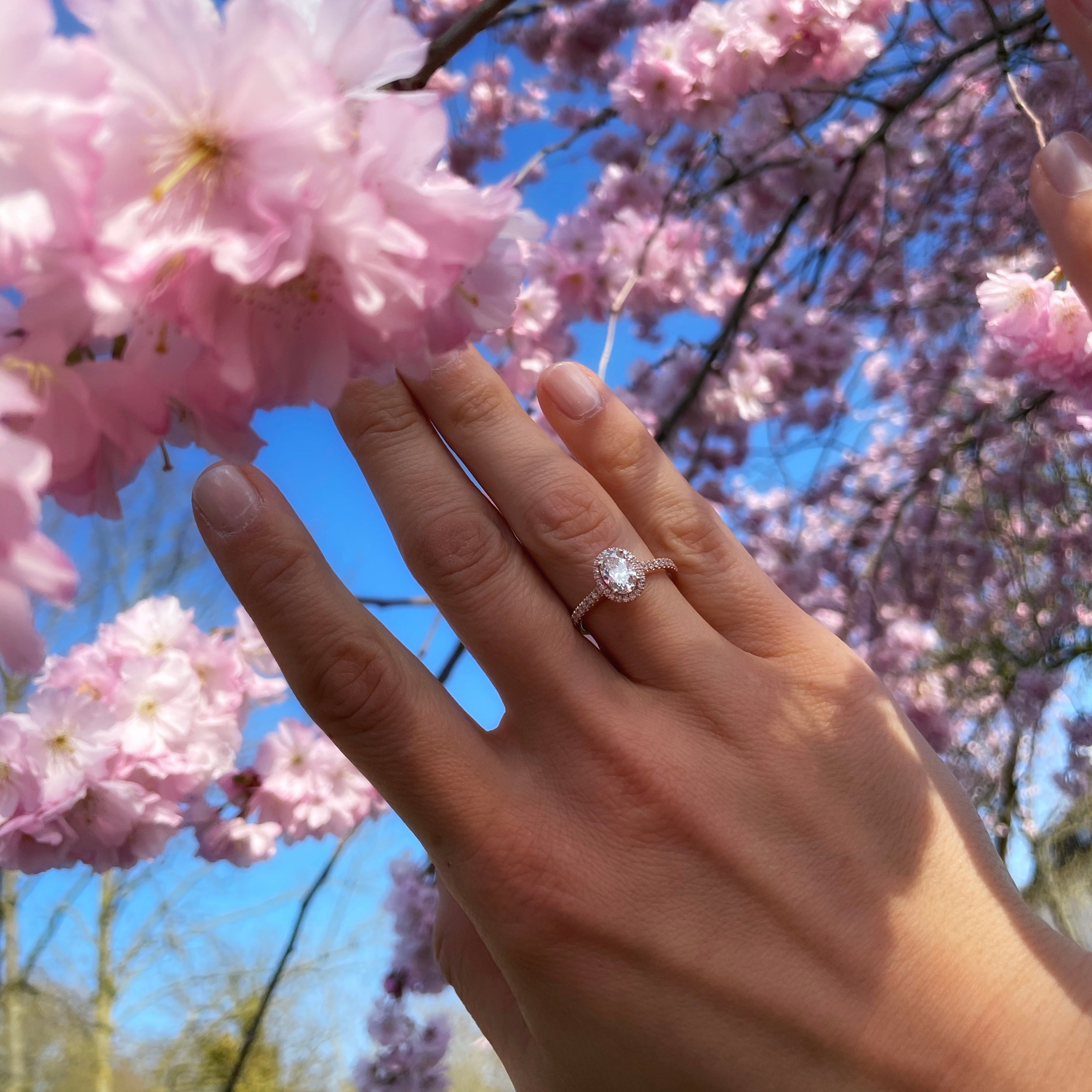 Ring "Charlotta"